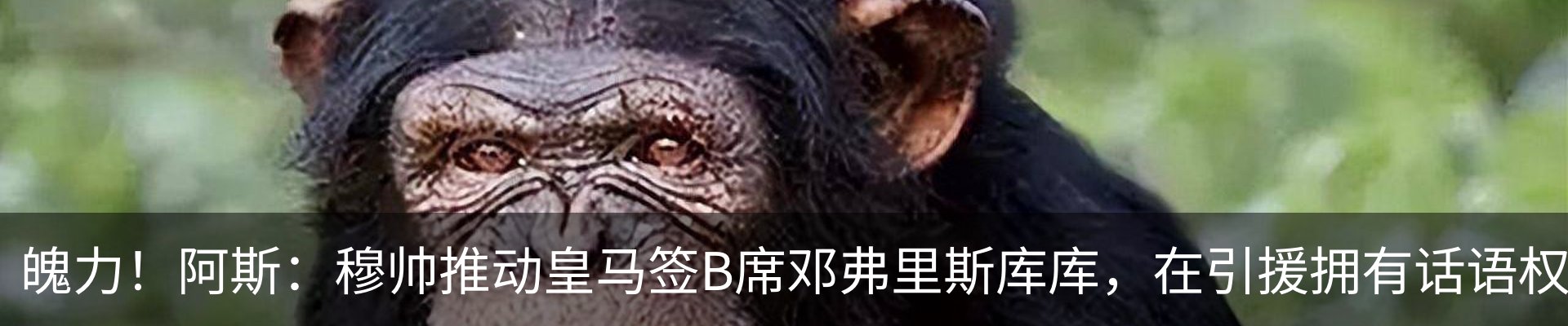 资讯动态